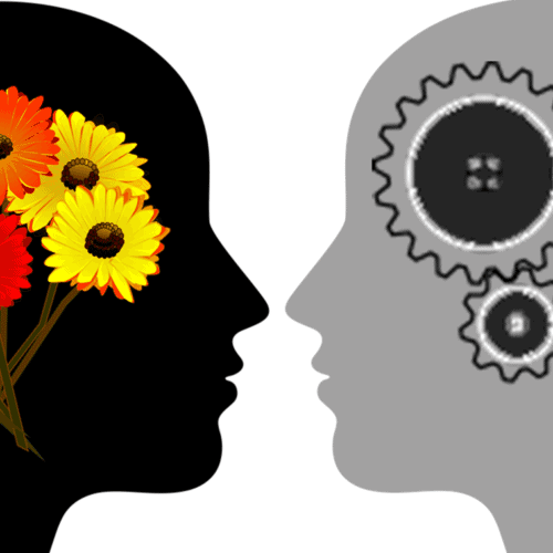 Two heads thinking differently