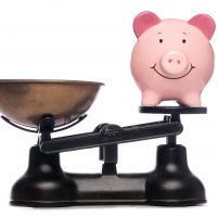 A pig being weighed on scales